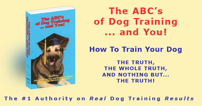 You Need San Diego Dog Obedience Training