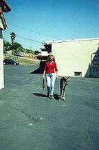 Heel off leash : Karen and her dog, Sepp demonstrate effective Dog Training