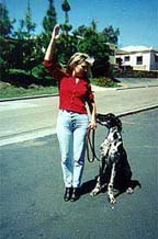 Sepp! : Karen and her dog, Sepp demonstrate effective Dog Training