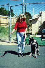 Down! : Karen and her dog, Sepp demonstrate effective Dog Training