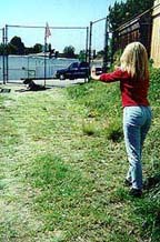 Stay : Karen and her dog, Sepp demonstrate effective Dog Training