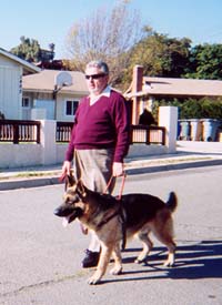 As Guide Dogs Lead The Blind, This Course Will: Lead You, Guide You, and Tutor You To Your Best Trained Dog - Ever!