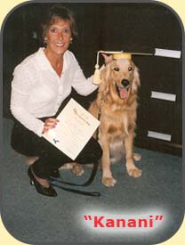What is the hardest dog to train? If you have the time and patience, you can train your own dog.